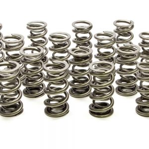 1.500 Dual Valve Springs - (16) PACPAC-1355H