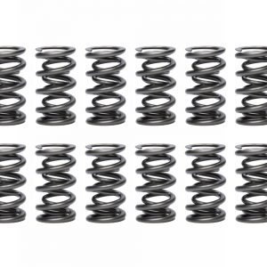 1.500 Dual Valve Spring (1) PACPAC-1356