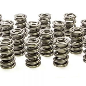 1.522 Dual Valve Springs - (16) PACPAC-1359
