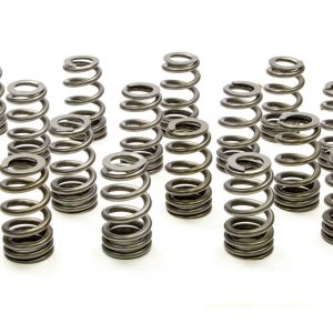 1.250 Valve Springs - Ovate Beehive (16) PACPAC-1409X