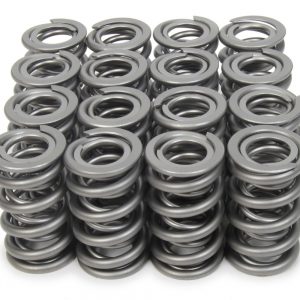 1.500 Dual Valve Springs (16) PACPAC-1541