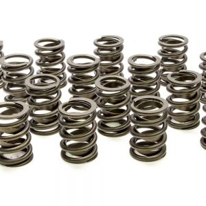 Valve Springs - HR Discontinued 04/06/21 PD PACPAC-1911