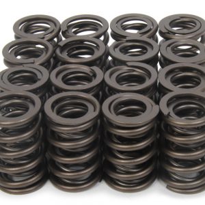 1.490 Dual Valve Springs (16) PACPAC-1914