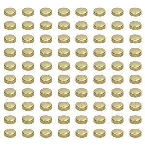 Expansion Plugs - 1-5/8 Brass (100pk) PIOEPC-41-B-100