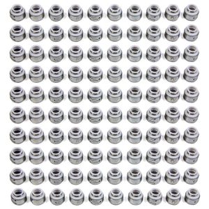 Teflon Oil Seals - 11/32 (100) PIOOS-1066-100