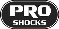 Pro Shock Street 2019 PRO100