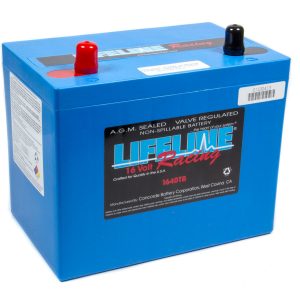 16 Volt 2 Post Battery REA1640TB