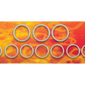 Exhaust Header Gasket Set Toyota 3.4L V6 REM7013