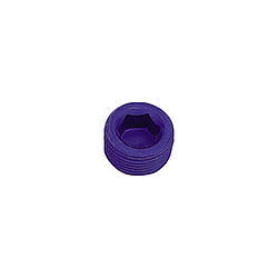 1/8in Allen Head Pipe Plug (2pk) XRP993202