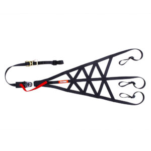 Rollcage Net Side Black SFI 37.1 RQP828998