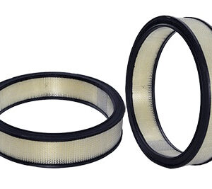 Air Filter WIX42116