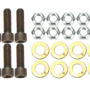 Brake Rotor Bolt Kit 5/16in-24 ALL42036