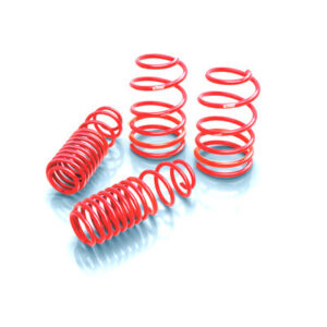 Sportline Kit 82-92 GM Camaro V8 EIB4.0138