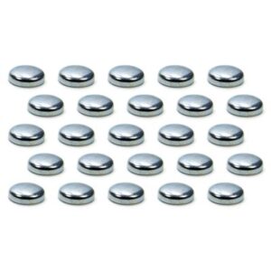 Expansion Plugs - 1in 100pk PIOEPC-16-100