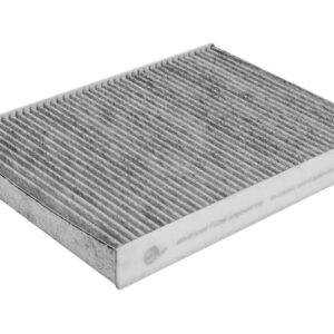 Air Filter AFE35-10036C