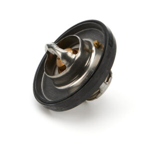 Thermostat 195 Degree RUG17106.05