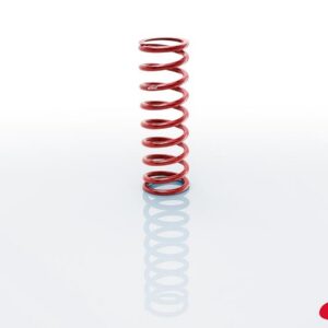 Coilover Spring Silver 3.00in ID EIB1200.300.0300S