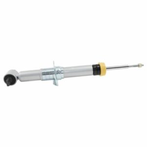 21-   Ford F150 SP Strut BLL25028