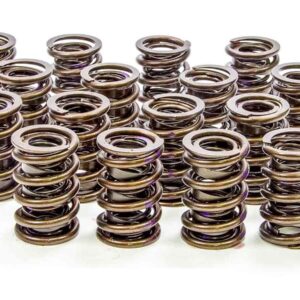 1.530 Endurance Plus Dual Valve Springs  16pk ISK9005PLUS