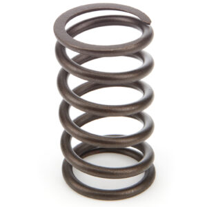 1.145 OD Outer Valve Springs 12-pk ISKJA00512