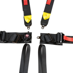 Harness 6pt Black Cam L 2in Shoulder FIA ZAMHARN04F003