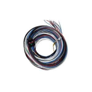 FT450/550 A Harness 10ft FTH2001005569