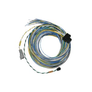 FT550 B Harness 10ft FTH2001005571