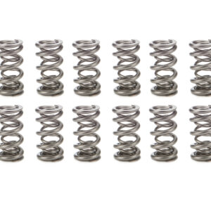 1.540 Dual Valve Springs MAN221461-16