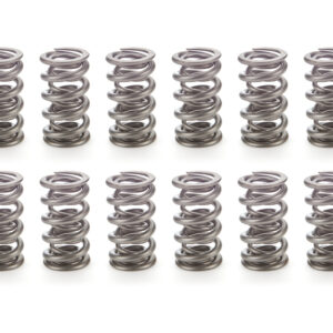 1.430 Dual Valve Spring Set 16pk PACPAC-1373