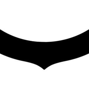 Extension Predator Hood Carbon Fiber 5.5in Tall DOM500-EX-CF