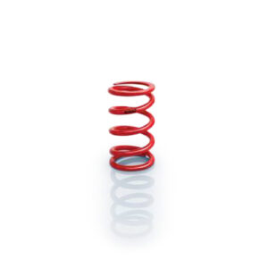 Spring Coil-Over Metric 70mm x 225mm Long EIB225-70-0055