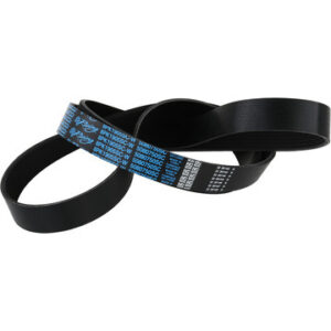 Supercharger Belt Cobra Mustang  03-04 DYC5080750SC