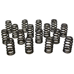 1.290 Ovate Beehive Valve Spring Set 16pk HRC98110