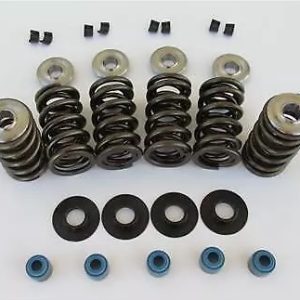 LS Dual Valve Spring & Retainer Kit CAMVSK142201