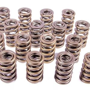 1.244 Dual Valve Springs (16) PACPAC-1202-16