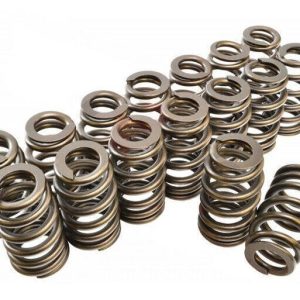 1.307 Valve Springs - Ovate Beehive (16) PACPAC-1219-16