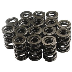 1.625 Dual Valve Springs (16) PACPAC-1224-16