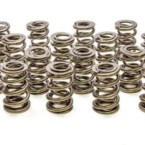 1.625 Dual Valve Springs (16) PACPAC-1228-16