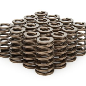 1.210 Valve Springs - Ovate Beehive (16) PACPAC-1235-16