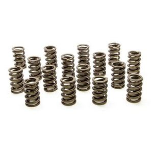 1.550 Dual Valve Springs (16) PACPAC-1245-16