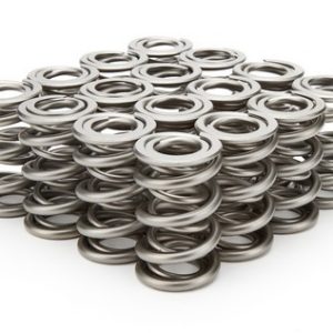 1.625 Dual Valve Springs (16) PACPAC-1328-16