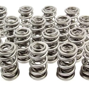 1.667 Triple Valve Springs (16) PACPAC-1351H-16