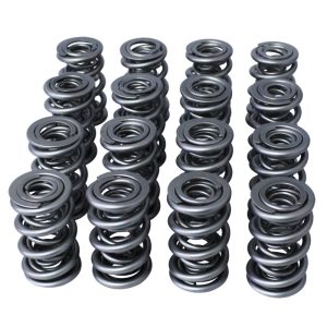 1.645 Triple Valve Springs (16) PACPAC-1358-16
