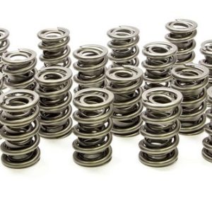 1.574 Dual Valve Springs (16) PACPAC-1395-16