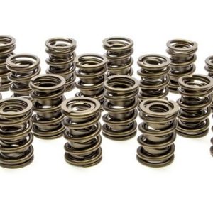 Valve Springs - HR Series (16) PACPAC-1901-16