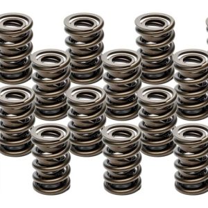 Valve Springs - HR Series (16) PACPAC-1940-16