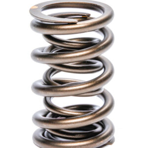 1.270 OD Valve Spring Set - Pacaloy AFR8019-16