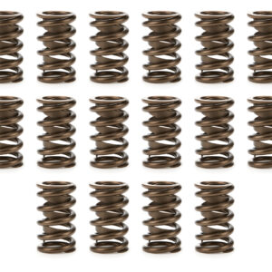 1.260 Valve Springs w/ Damper (16) PACPAC-1216L-16