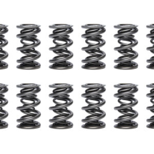 1.681 Triple Valve Springs  (16) PACPAC-1364L-16