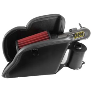 Cold Air Intake System AIP21-786C